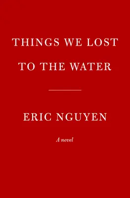 Veci, ktoré sme stratili vo vode - Things We Lost to the Water