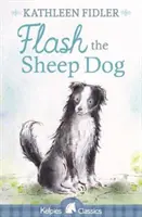 Ovčiarsky pes Flash - Flash the Sheep Dog