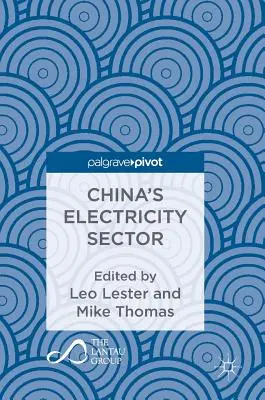 Čínsky sektor elektrickej energie - China's Electricity Sector