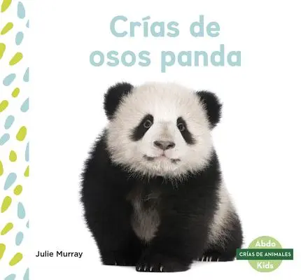 Cras de Osos Panda (Mláďatá pandy) - Cras de Osos Panda (Panda Cubs)
