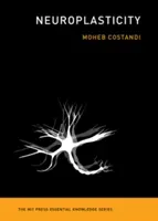 Neuroplasticita - Neuroplasticity