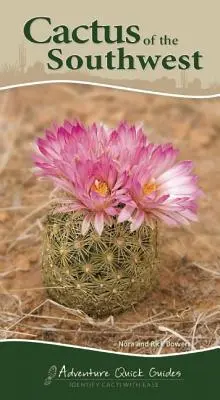 Kaktusy juhozápadu: Kaktusy na juhozápade: Ako ľahko rozpoznať kaktusy? - Cactus of the Southwest: Your Way to Easily Identify Cacti