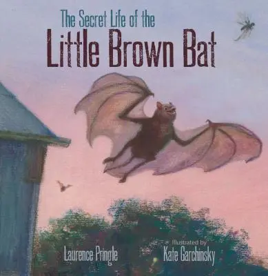 Tajný život malého hnedého netopiera - The Secret Life of the Little Brown Bat