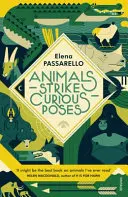 Zvieratá zaujímajú zvláštne pózy - Animals Strike Curious Poses