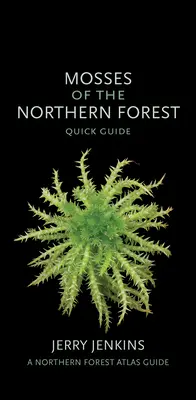 Machy severných lesov: Rýchly sprievodca - Mosses of the Northern Forest: Quick Guide