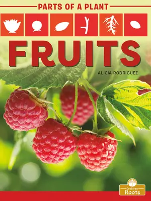 Ovocie - Fruits