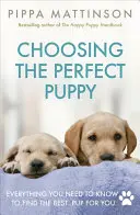 Výber ideálneho šteňaťa - Choosing the Perfect Puppy