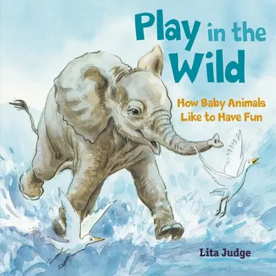 Hra v divočine: Ako sa mláďatá zvierat radi zabávajú - Play in the Wild: How Baby Animals Like to Have Fun