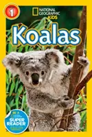 Koaly - Koalas