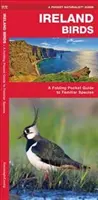 Vtáky Írska, 2. vydanie - Skladací vreckový sprievodca známymi druhmi - Ireland Birds, 2nd Edition - A Folding Pocket Guide to Familiar Species