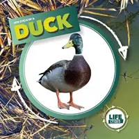 Kačica - Duck