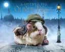 Morča Oliver Twist - Guinea Pig Oliver Twist