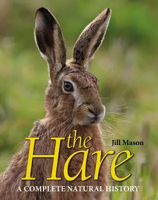 Zajac - The Hare