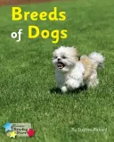 Plemená psov - Fáza 4 - Breeds of Dogs - Phonics Phase 4