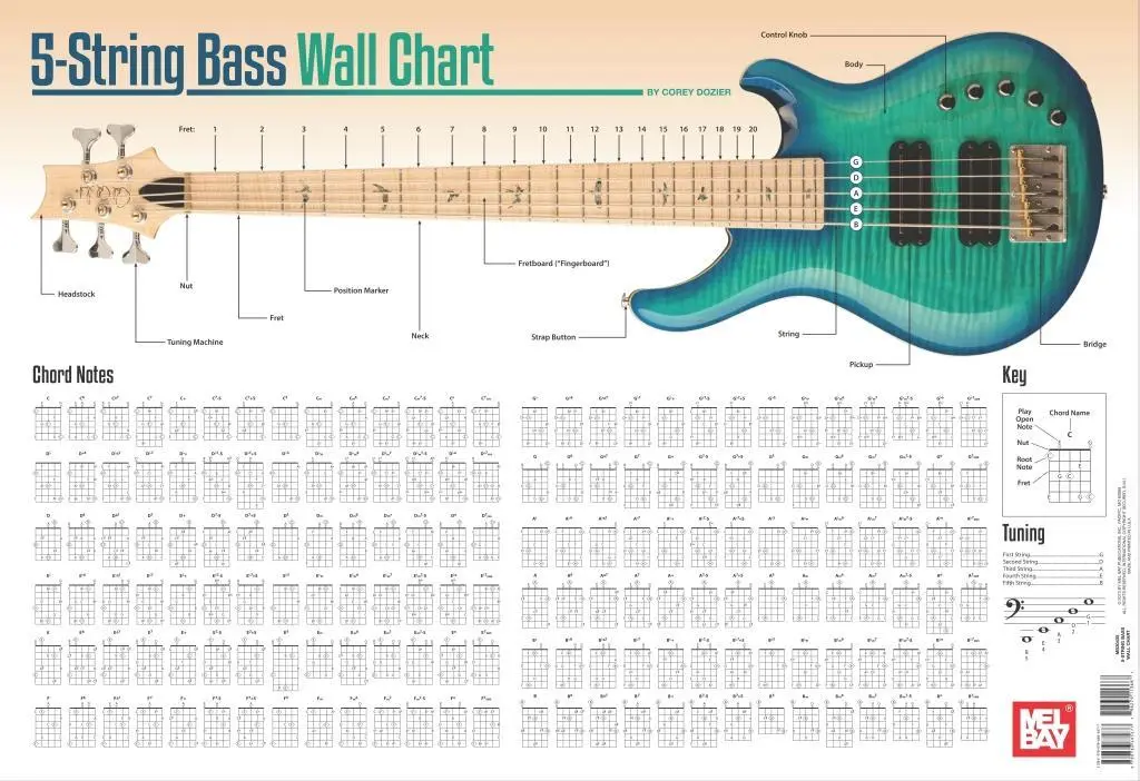Nástenná tabuľka pre 5-strunovú basgitaru - 5-String Bass Wall Chart