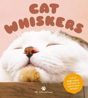 Mačacie fúzy - Cat Whiskers