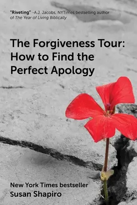 The Forgiveness Tour: Ako nájsť dokonalé ospravedlnenie? - The Forgiveness Tour: How to Find the Perfect Apology