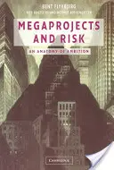 Megaprojekty a riziko - Megaprojects and Risk