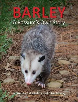 Jačmeň, vlastný príbeh opice - Barley, a Possum's Own Story