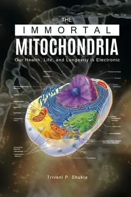Nesmrteľné mitochondrie: Naše zdravie, život a dlhovekosť sú elektronické - The Immortal Mitochondria: Our Health, Life, and Longevity is Electronic