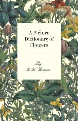 Obrázkový slovník kvetov - A Picture Dictionary of Flowers