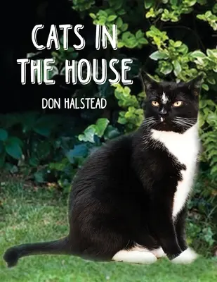 Mačky v dome - Cats in the House