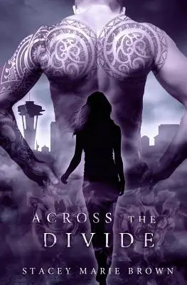 Cez priepasť - Across the Divide