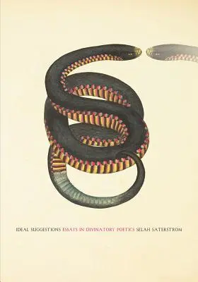 Ideálne návrhy: Eseje z divinačnej poetiky - Ideal Suggestions: Essays in Divinatory Poetics