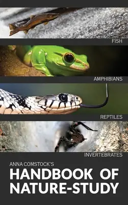 Farebná príručka pre štúdium prírody - Ryby, plazy, obojživelníky, bezstavovce - The Handbook Of Nature Study in Color - Fish, Reptiles, Amphibians, Invertebrates