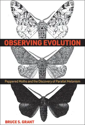 Pozorovanie evolúcie: Pepered Moths and the Discovery of Parallel Melanism - Observing Evolution: Peppered Moths and the Discovery of Parallel Melanism