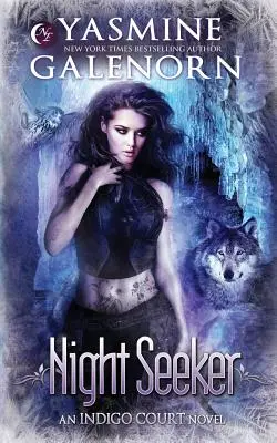 Hľadač noci - Night Seeker