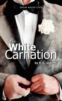 Biely karafiát - White Carnation