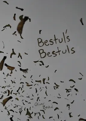 Bestulky z Bestulky z Bestulky z Bestulky - Bestul's Bestuls