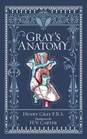 Grayova anatómia (Barnes & Noble Collectible Classics: Omnibus Edition) - Gray's Anatomy (Barnes & Noble Collectible Classics: Omnibus Edition)