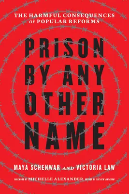 Väznica pod iným menom: Škodlivé dôsledky populárnych reforiem - Prison by Any Other Name: The Harmful Consequences of Popular Reforms