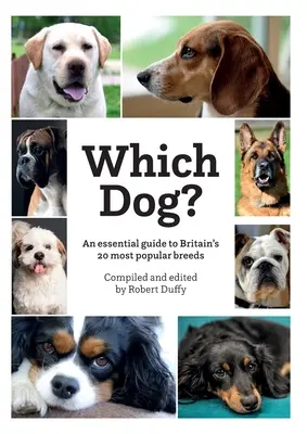 Ktorý pes - Which Dog