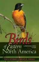 Vtáky východnej časti Severnej Ameriky: Fotografický sprievodca a Fotografický sprievodca - Birds of Eastern North America: A Photographic Guide a Photographic Guide