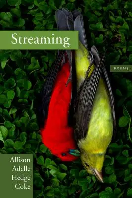 Streamovanie - Streaming