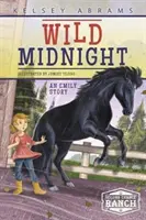 Divoká polnoc: Príbeh Emily - Wild Midnight: An Emily Story