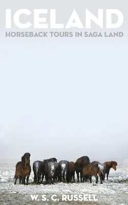 Island: Výlety na koni v krajine ság - Iceland: Horseback Tours in Saga Land
