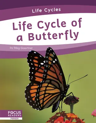 Životný cyklus motýľa - Life Cycle of a Butterfly