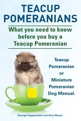 Pomeranče. Príručka pre psov plemena minipomeranian alebo teacup pomeranian. Čo musíte vedieť, než si kúpite teacup pomeranian. - Teacup Pomeranians. Miniature Pomeranian or Teacup Pomeranian Dog Manual. What You Need to Know Before You Buy a Teacup Pomeranian.