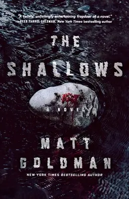 Plytčiny: Nils Shapiro Novel - The Shallows: A Nils Shapiro Novel
