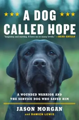 Pes zvaný nádej: Zranený bojovník špeciálnych jednotiek a pes, ktorý sa ho odvážil milovať - A Dog Called Hope: The Special Forces Wounded Warrior and the Dog Who Dared to Love Him