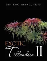 Exotické tillandsie II - Exotic Tillandsia II