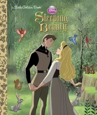 Šípková Ruženka (Disneyho princezná) - Sleeping Beauty (Disney Princess)
