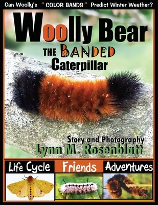 Húsenica pásavka vlnkovaná: Životný cyklus, kamaráti a dobrodružstvá - Woolly Bear the Banded Caterpillar: Life Cycle, Friends and Adventures
