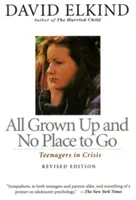 Všetci vyrástli a nemajú kam ísť: Tínedžeri v kríze - All Grown Up and No Place to Go: Teenagers in Crisis