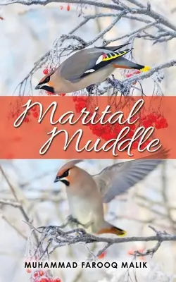 Manželský zmätok - Marital Muddle