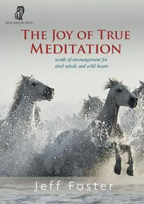 Radosť z pravej meditácie: Slová povzbudenia pre unavené mysle a divoké srdcia - The joy of True Meditation: Words of Encouragement for Tired Minds and Wild Hearts